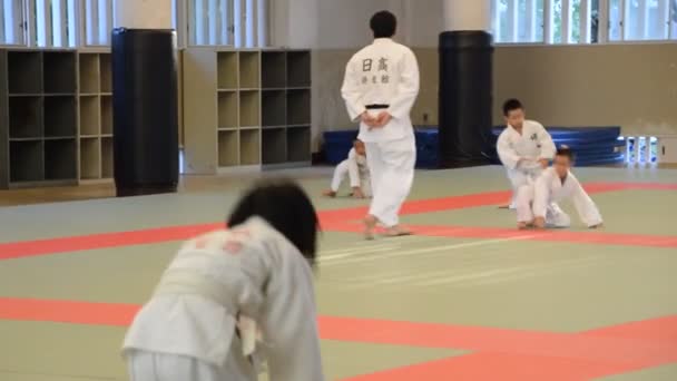 Judoka Školení Osaka Budo Center Japonsko 2016 — Stock video