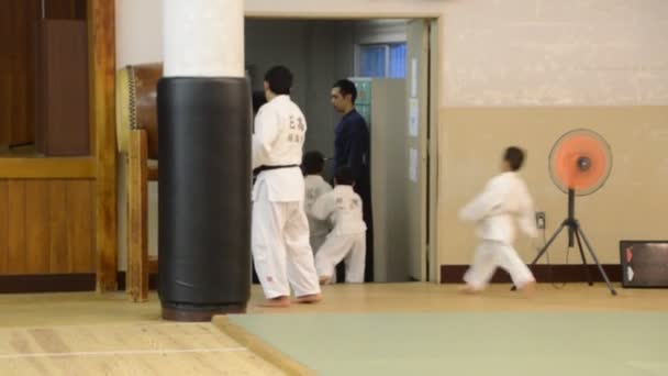 Judoka Training Osaka Budo Center Japan 2016 — Stockvideo