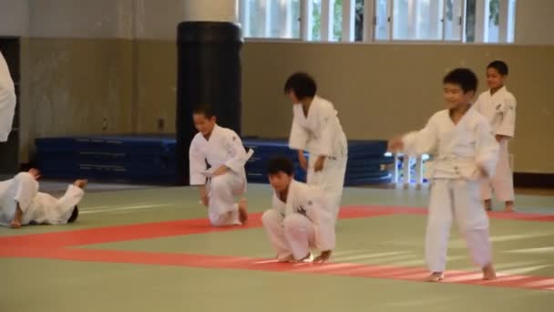 Judoka Školení Osaka Budo Center Japonsko 2016 — Stock video