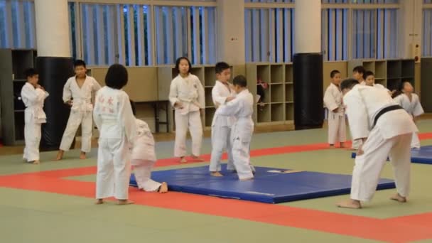 Εκπαίδευση Judoka Στο Osaka Budo Center Japan 2016 — Αρχείο Βίντεο