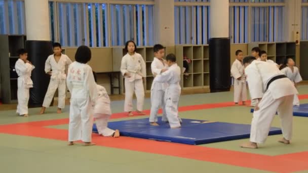 Judoka Školení Osaka Budo Center Japonsko 2016 — Stock video