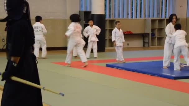 Judoka Školení Osaka Budo Center Japonsko 2016 — Stock video