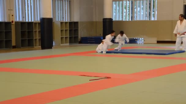 Judoka Training Het Osaka Budo Center Japan 2016 — Stockvideo