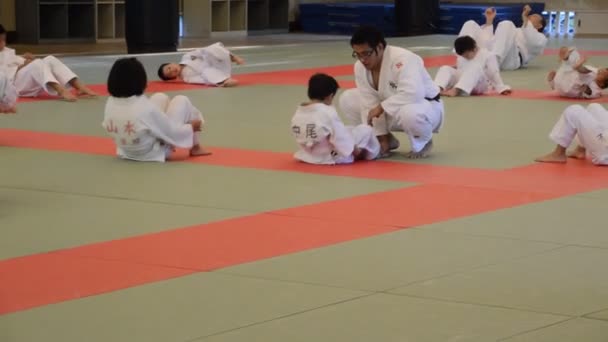Judoka Training Osaka Budo Center Japan 2016 — Stockvideo