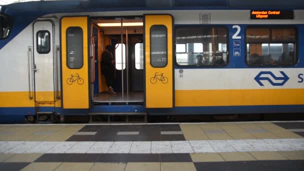 Puerta Tren Abierta Estación Amstel Ámsterdam Países Bajos 2019 — Vídeos de Stock