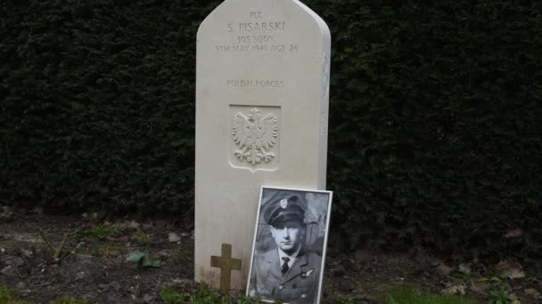 Foto Cementerio Militar Nieuwe Ooster Amsterdam Holanda 2020 — Vídeo de stock