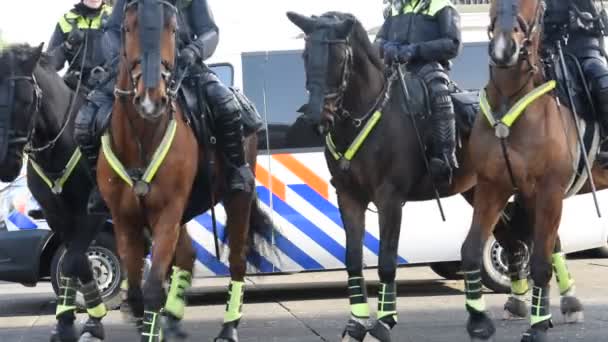Politie Paarden Passeren Rond Johan Cruijff Arena Amsterdam 2020 — Stockvideo