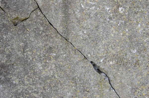 Close Crackles Stone Amsterdam Pays Bas 2020 — Photo