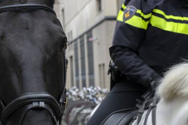 Amsterdam 'daki Polis Atı 18-3-2020