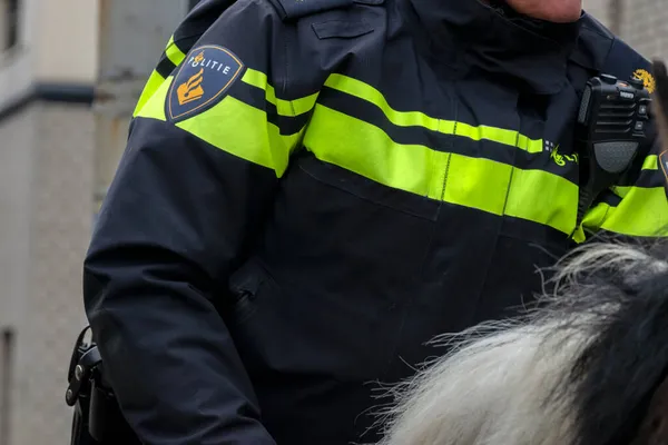 Großaufnahme Polizeipferd Amsterdam Niederlande 2020 — Stockfoto