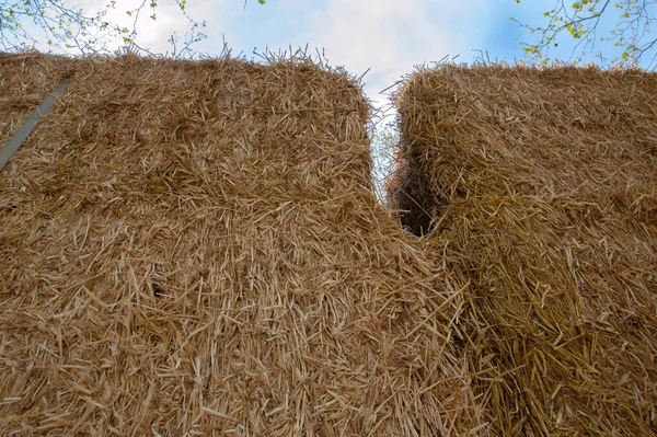 Close Haystacks Amsterdam Netherlands 2019 — Stock Photo, Image