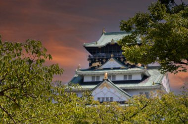 Osaka Kalesi Ağaçların Arkasında Japonya 2-9-2016