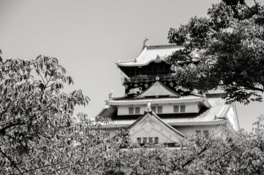 Osaka Kalesi Ağaçların Arkasında Japonya 2-9-2016