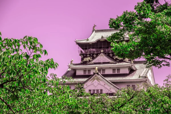 Castello Osaka Dietro Gli Alberi Giappone 2016 — Foto Stock