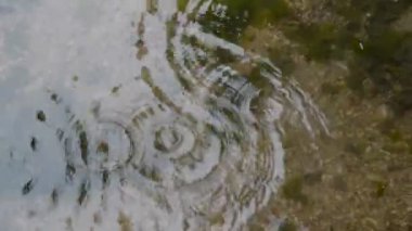 Miyajima 'da yağmur damlaları Japonya 2015