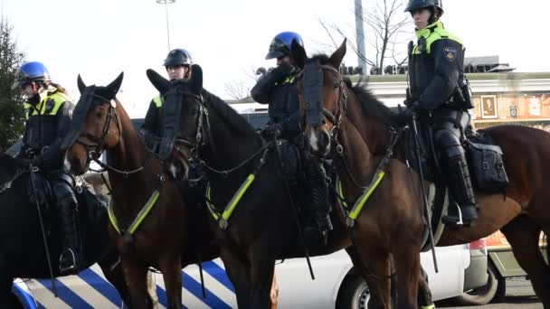 Mujeres Policías Caballo Johahn Cruijff Arena Amsterdam Holanda 2020 — Vídeo de stock