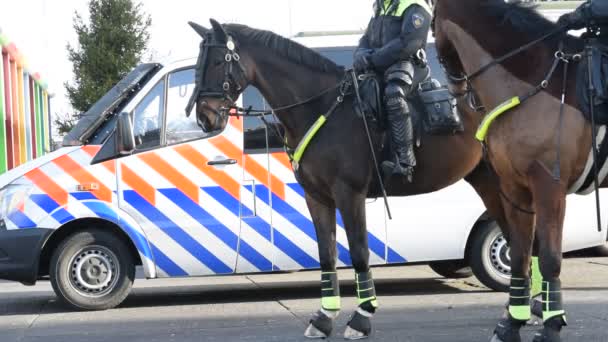 警察の女性がジョン クルイフ アリーナで馬に乗ってアムステルダム Ortherland 2020 — ストック動画