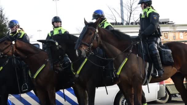 Politie Vrouwen Paard Johahn Cruijff Arena Amsterdam Nederland 2020 — Stockvideo