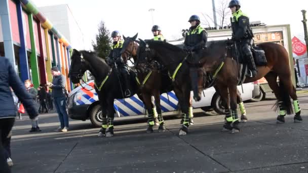 Policyjne Kobiety Koniu Johahn Cruijff Arena Amsterdam Holandia 2020 — Wideo stockowe