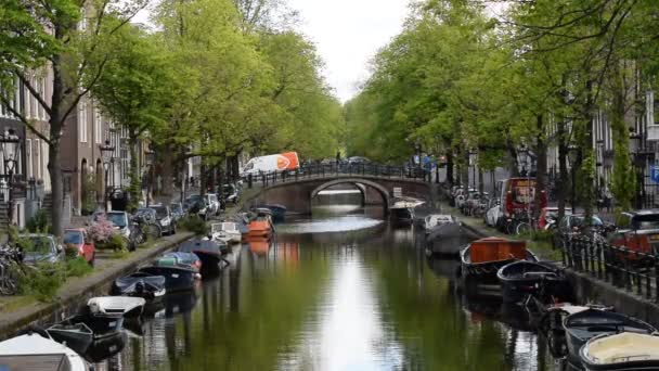 Post Amsterdam Düzenli Taşıma 2019 Hollanda Sında — Stok video