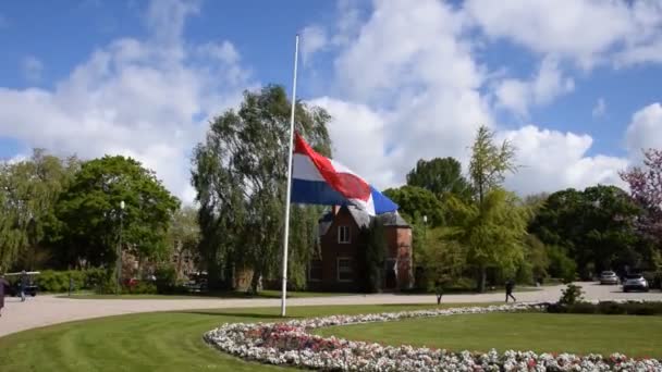 Recordando Las Bajas Segunda Guerra Mundial Cementerio Nieuwe Ooster Amsterdam — Vídeo de stock