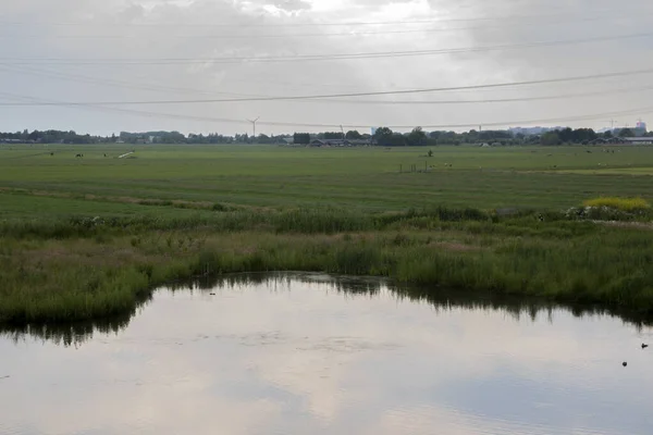 Dutch Farmland Abcoude Nederland 2020 – stockfoto