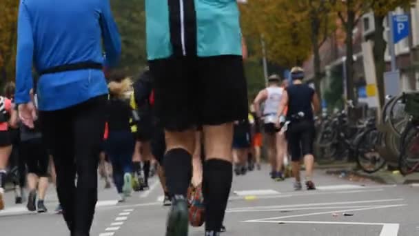 Runner Marathon Amsterdam Netherlands 2019 — Stock video