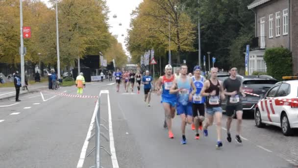 Runner Marathon Amsterdam Netherlands 2019 — Stock video