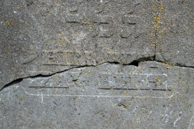 Amsterdam 'da Bir Taşta Çıtırtı Yaklaş Hollanda 21-6-2020