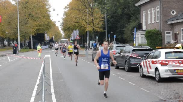 Amsterdam Maratonunda Koşan Hollanda 2019 — Stok video