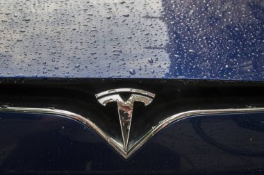 Hollanda 27-6-2020 Amsterdam Tesla Otomobilin logosu
