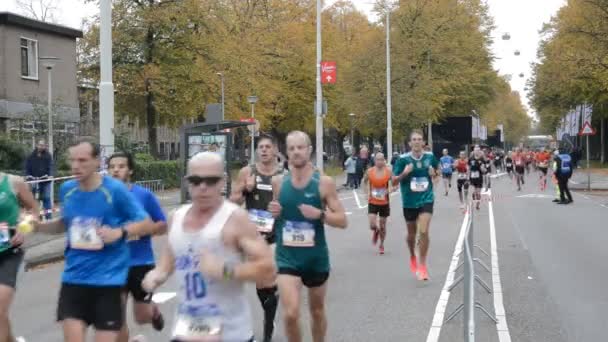 Corridori Alla Maratona Amsterdam Paesi Bassi 2019 — Video Stock