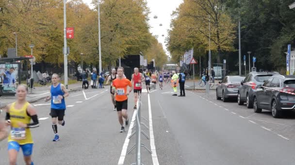 Amsterdam Maratonundaki Koşucular Hollanda 2019 — Stok video