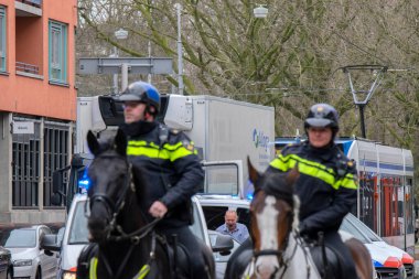 Amsterdam Caddesindeki Polis Atları Hollanda 18-3-2020