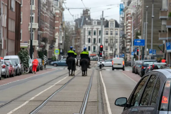 Police Horses Street Amsterdam Nizozemsko 2020 — Stock fotografie