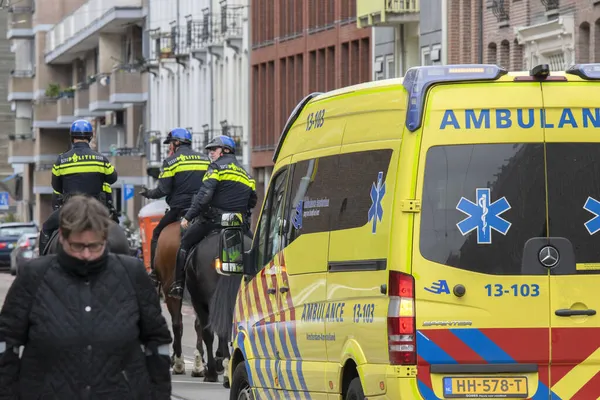 Полицейские Лошади Улице Амстердама Нидерланды 2020 — стоковое фото