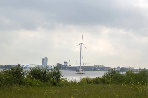 Парусная Лодка Мельница Заандаме Нидерланды 2020 — стоковое фото