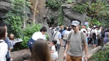 2016 Osaka Akvaryumu 'nda Selfie Çekmek