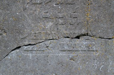 Amsterdam 'da Bir Taşta Çıtırtı Yaklaş Hollanda 21-6-2020