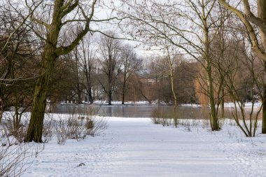 Amsterdam 'daki Oosterpark Parkı' nda Bomboş Yol Hollanda 10-2-2021