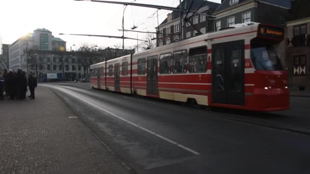 Tramvai Haga Olanda 2019 — Videoclip de stoc