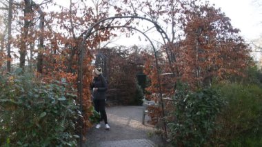 Artis Hayvanat Bahçesinde Yürüyen Yol Amsterdam Hollanda 2010