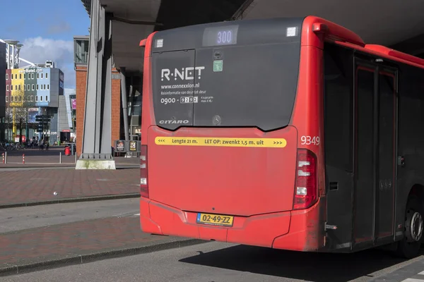 Bus Arrière 300 Gare Routière Bijlmer Amsterdam Pays Bas 2019 — Photo