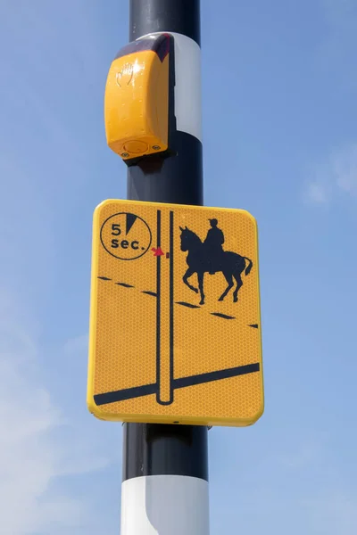 Button Horse Riders Stoplight Driemond Nederländerna 2021 — Stockfoto