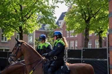 Amsterdam 'da Atlı Kadın Polis Memurları Hollanda 2019