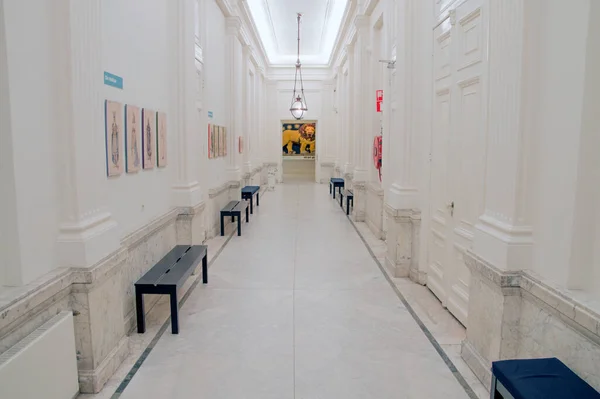 Allard Pierson Müzesi Koridoru Amsterdam Hollanda 2018 — Stok fotoğraf