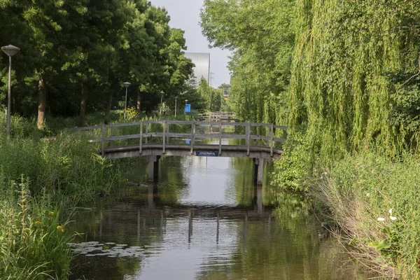 Johnny Repbrug Bridge Amsterdam Pays Bas — Photo