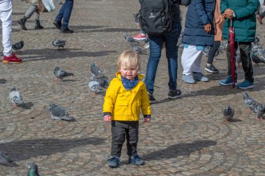 Küçük çocuk Amsterdam Baraj Meydanı 'ndaki güvercinlerin keyfini çıkarıyor. Hollanda 2019