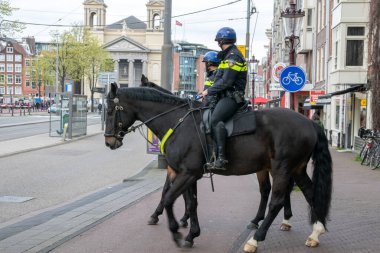 Polis ve Atlar Amsterdam Şehri 'nde devriye geziyor. Hollanda 2019.