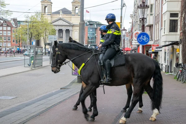 Politieagenten Paarden Patrouilleren Het Centrum Van Amsterdam City 2019 — Stockfoto